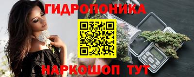 эйфоретик Бердск