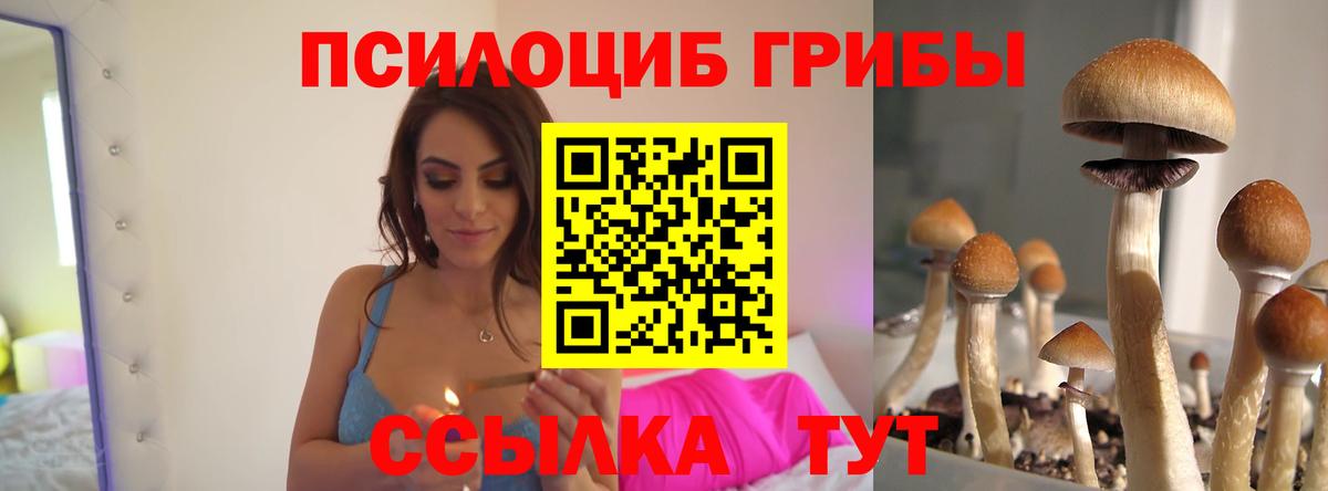Нижнеудинск  где купить наркотик  Вход с VPN  Галлюциногенные грибы Cubensis 